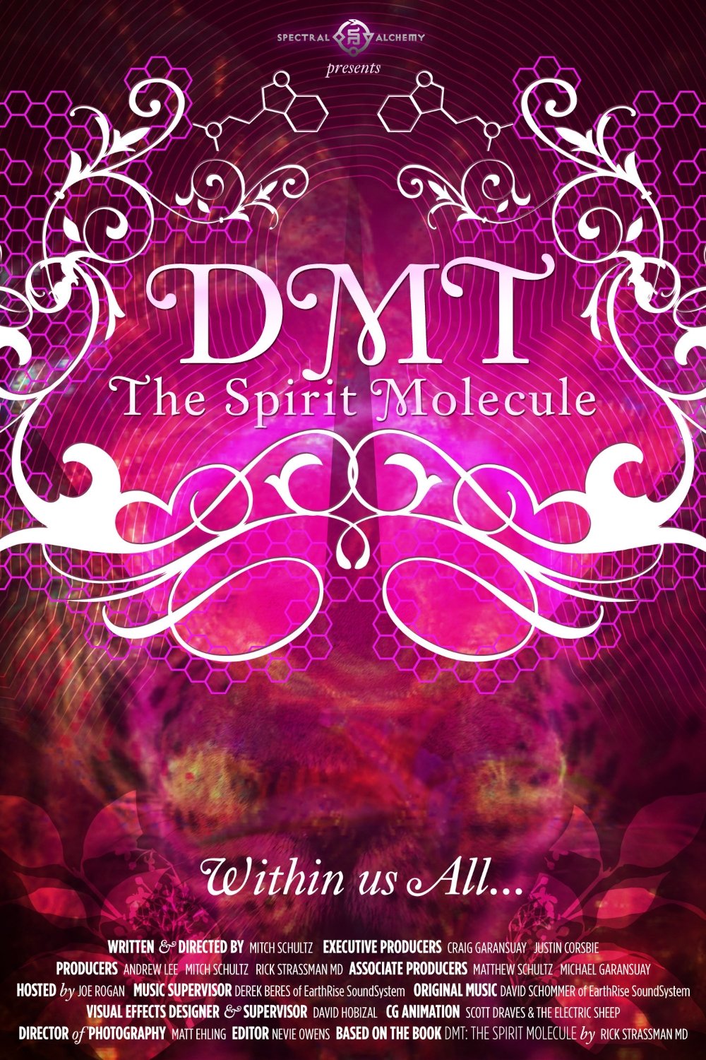 Постер DMT: The Spirit Molecule